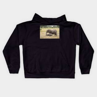 African Elephants: Adult With Two Young Kids Hoodie